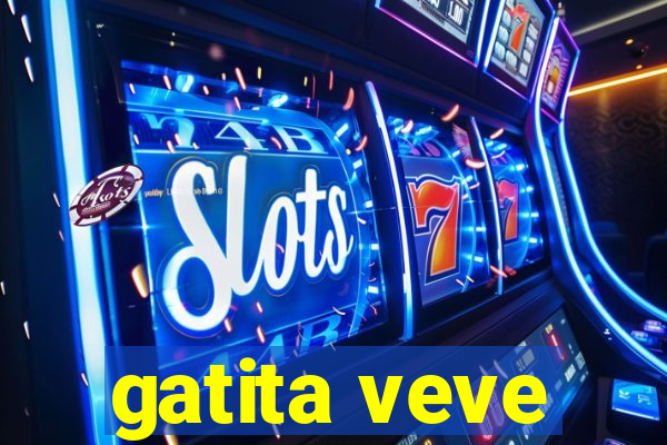 gatita veve